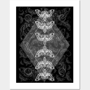 Geometric Night Moths pattern, Gothic Death Moths with Skull Head, Deaths Head Moths, Hawkmoth Posters and Art